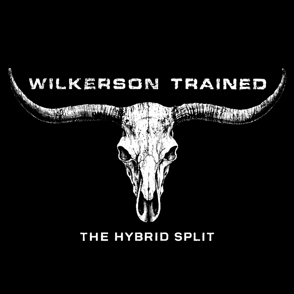 Hybrid Training Plan